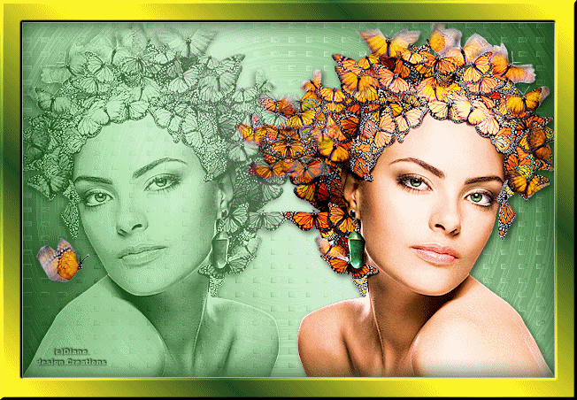 Diane Design